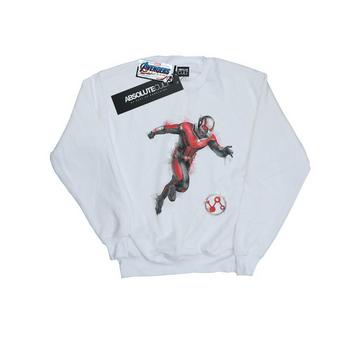 Avengers Endgame Sweatshirt