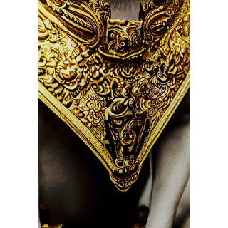 KARE Design Tableau en verre Noble Dog 40x60  