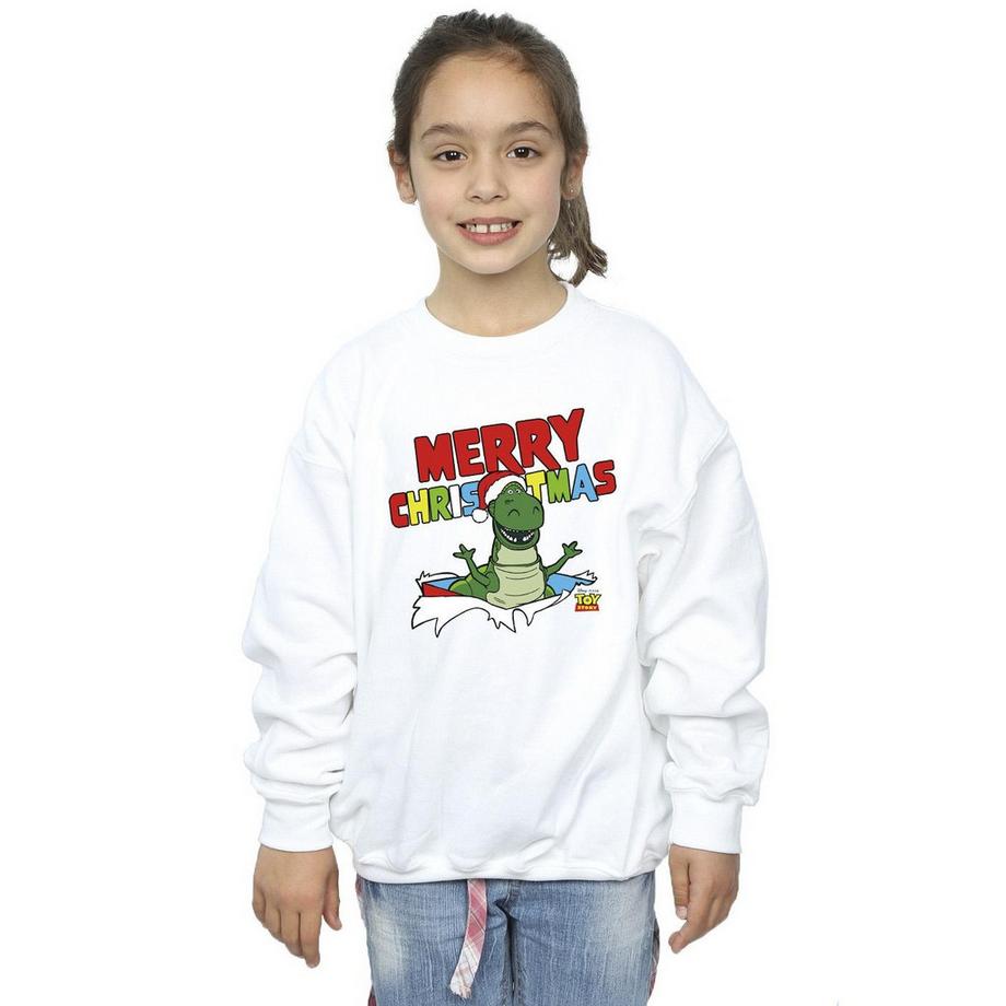 Disney  Toy Story Sweatshirt 