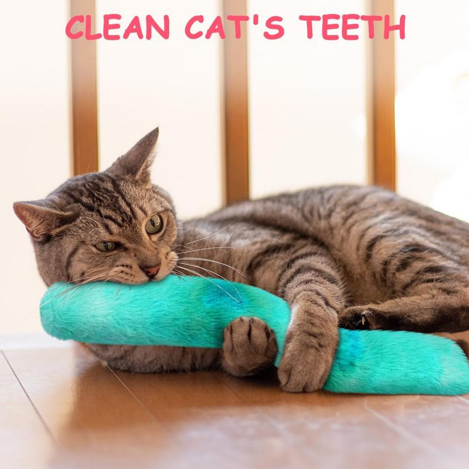 Activity-board  3-teiliges Katzenminze-Katzenspielzeug 