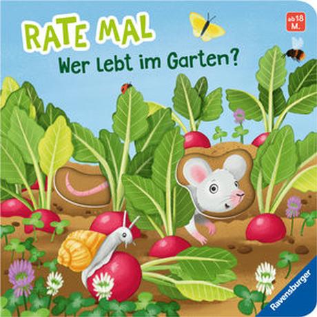 Rate mal: Wer lebt im Garten? Penners, Bernd; Bliesener, Klaus (Illustrationen); Teichmann, Meike (Illustrationen) Gebundene Ausgabe 