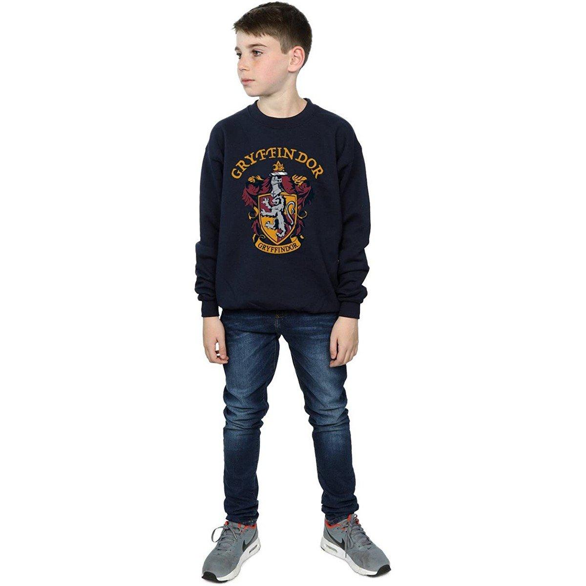 Harry Potter  Sweatshirt 