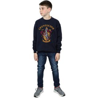 Harry Potter  Sweatshirt 