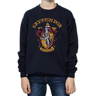 Harry Potter  Sweatshirt 