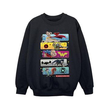 DC League Of SuperPets Sweatshirt