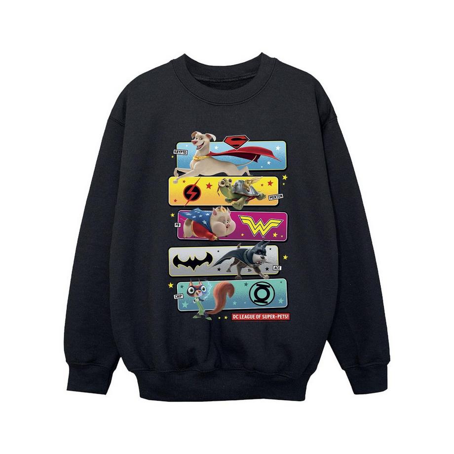 DC COMICS  DC League Of SuperPets Sweatshirt 