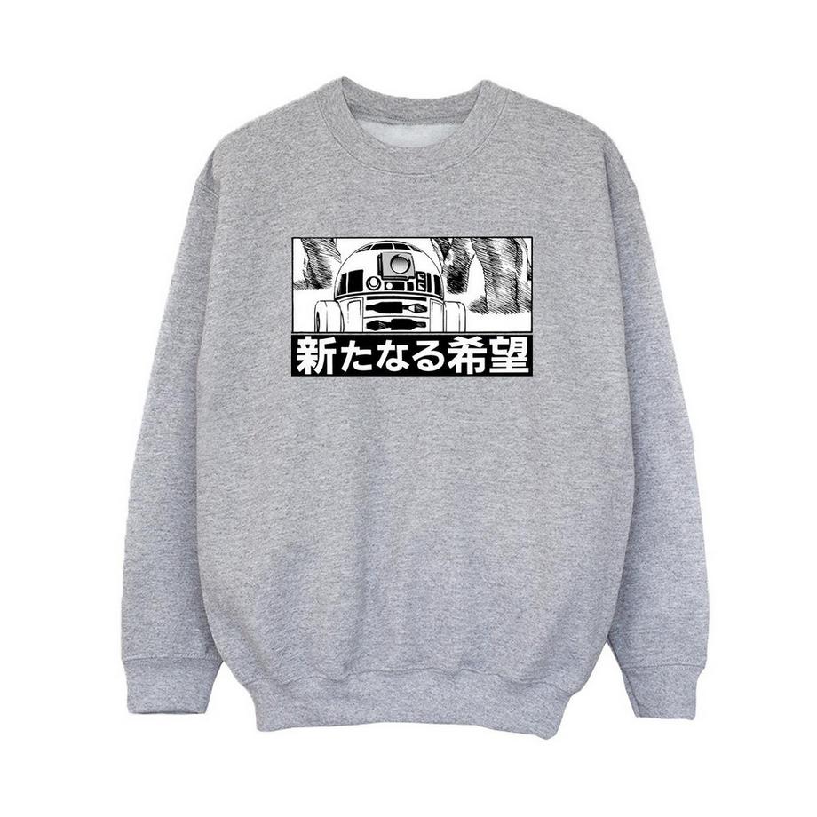 STAR WARS  Sweatshirt 