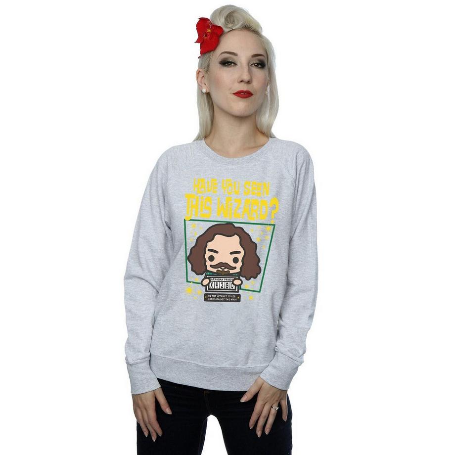 Harry Potter Sirius Black Azkaban Junior Sweatshirt  