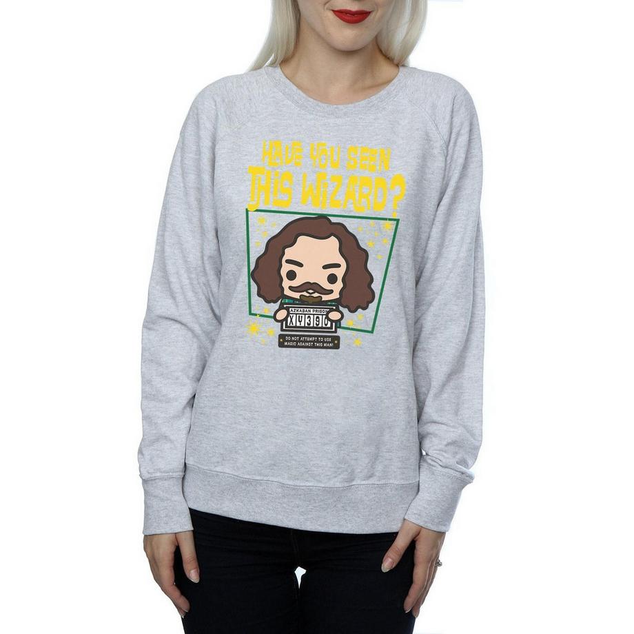Harry Potter Sirius Black Azkaban Junior Sweatshirt  