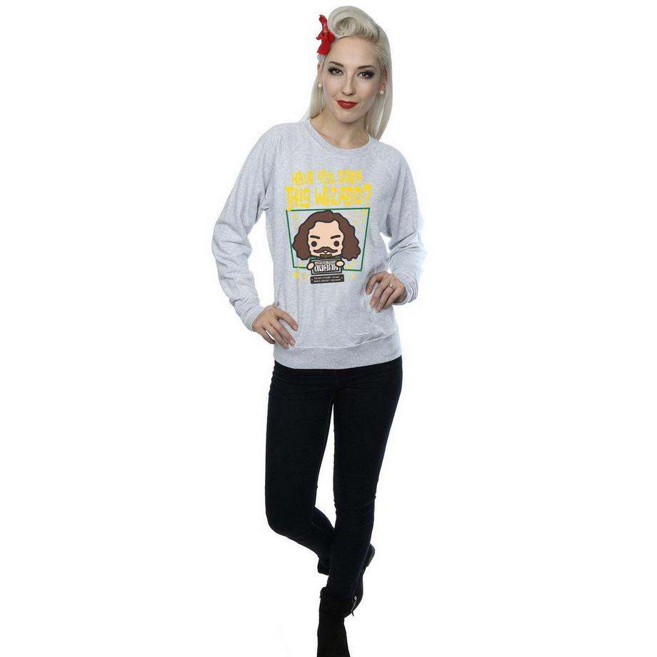 Harry Potter Sirius Black Azkaban Junior Sweatshirt  