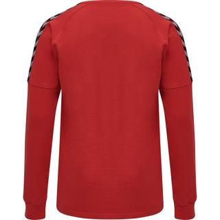 Hummel  pullover hmlauthentic training 
