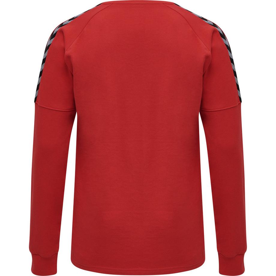 Hummel  pullover hmlauthentic training 
