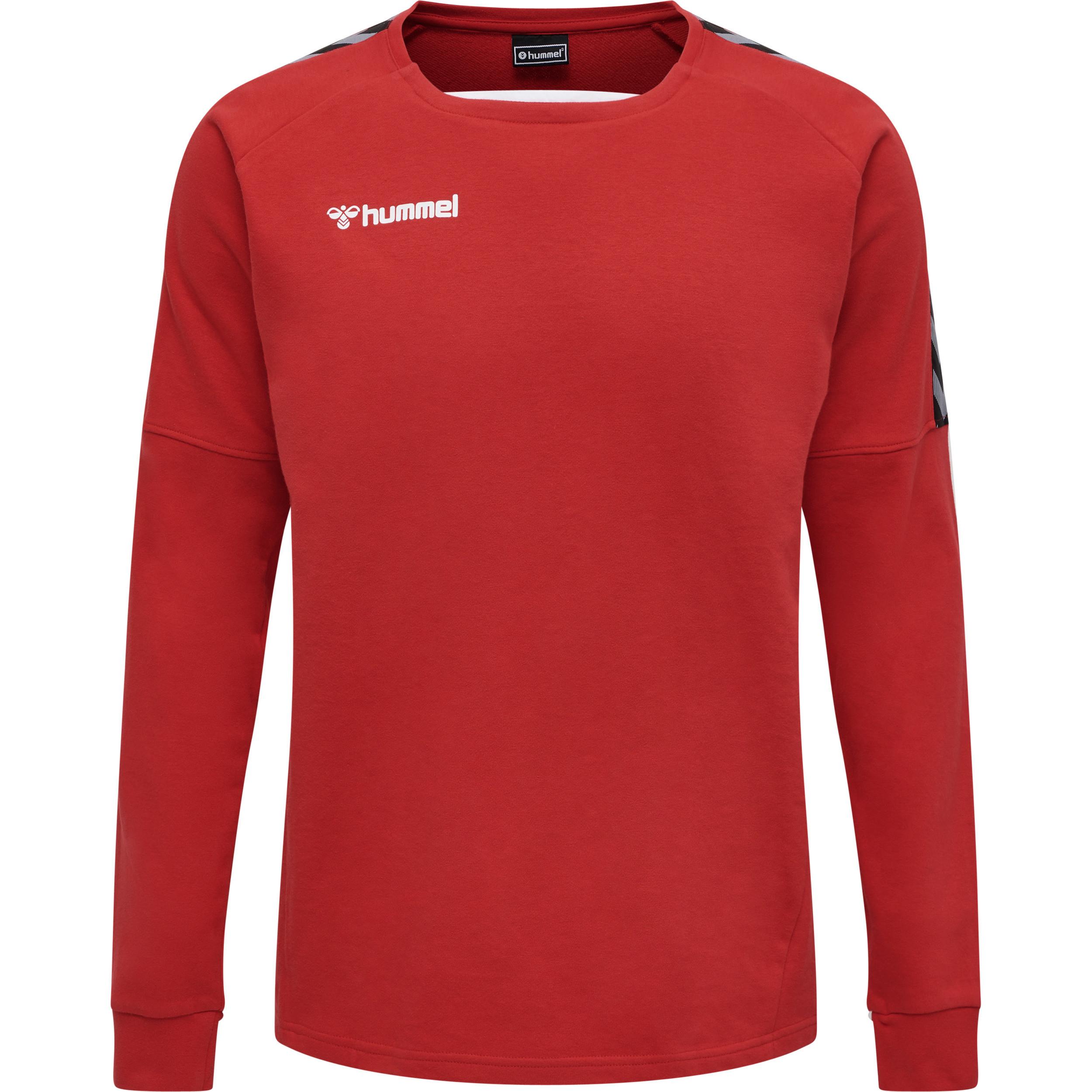 Hummel  sweatshirt hmlauthentic training 