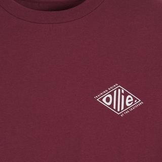 La Redoute Collections  3er-Set Baumwollpyjamas mit Skateboard-Motiv 