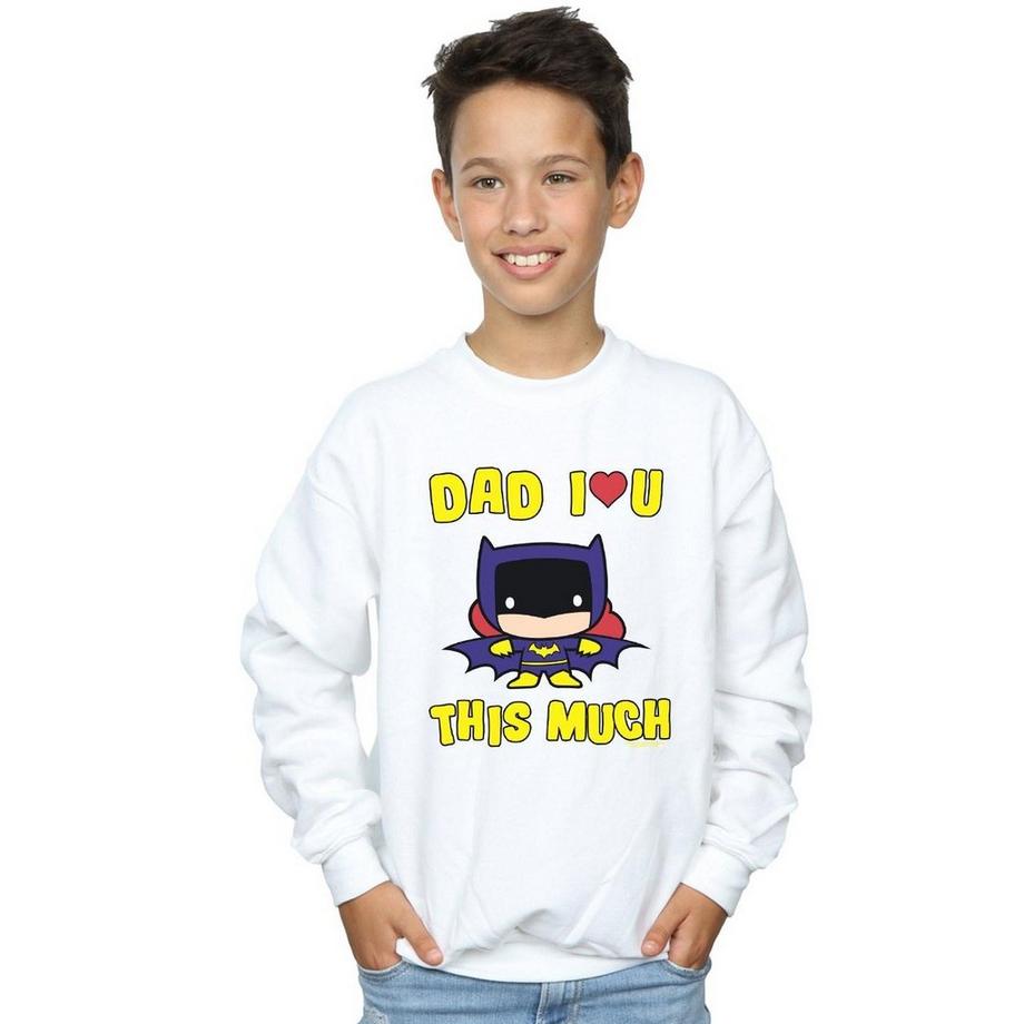 DC COMICS  Dad I Love You This Much Sweatshirt 
