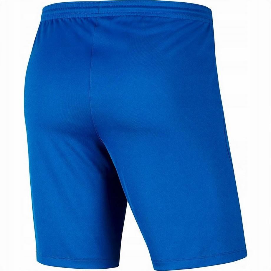 NIKE  Short Dry Park 