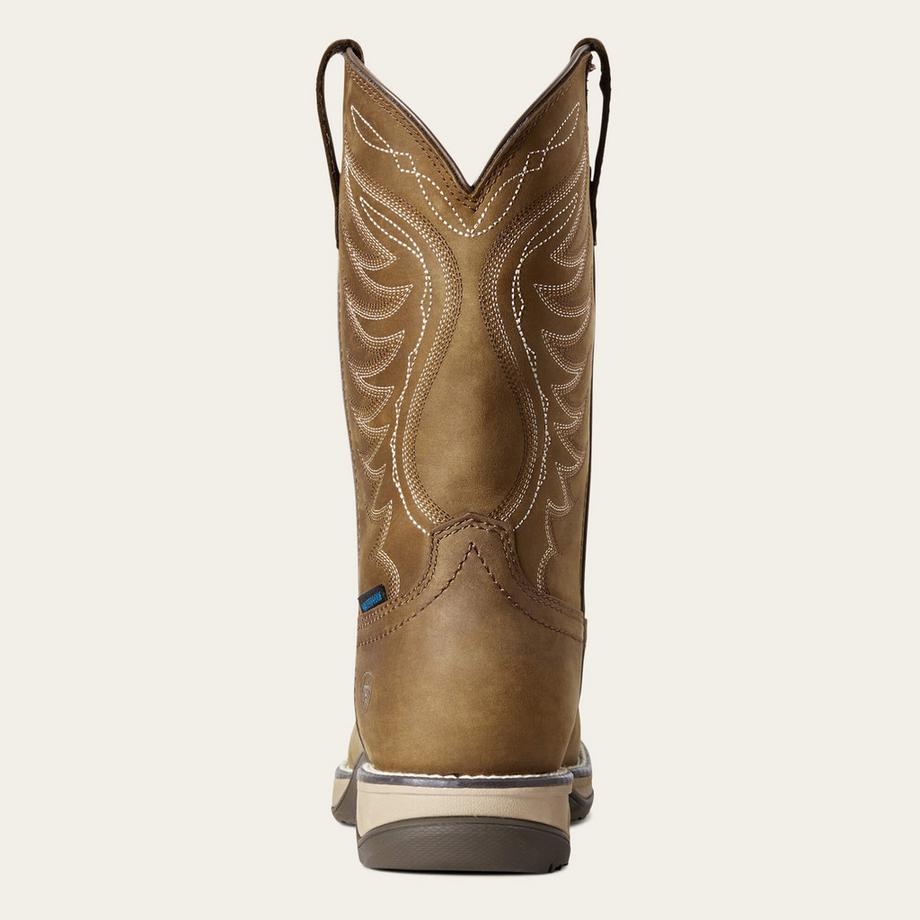 Ariat stivali western da in pelle anthem h2o  
