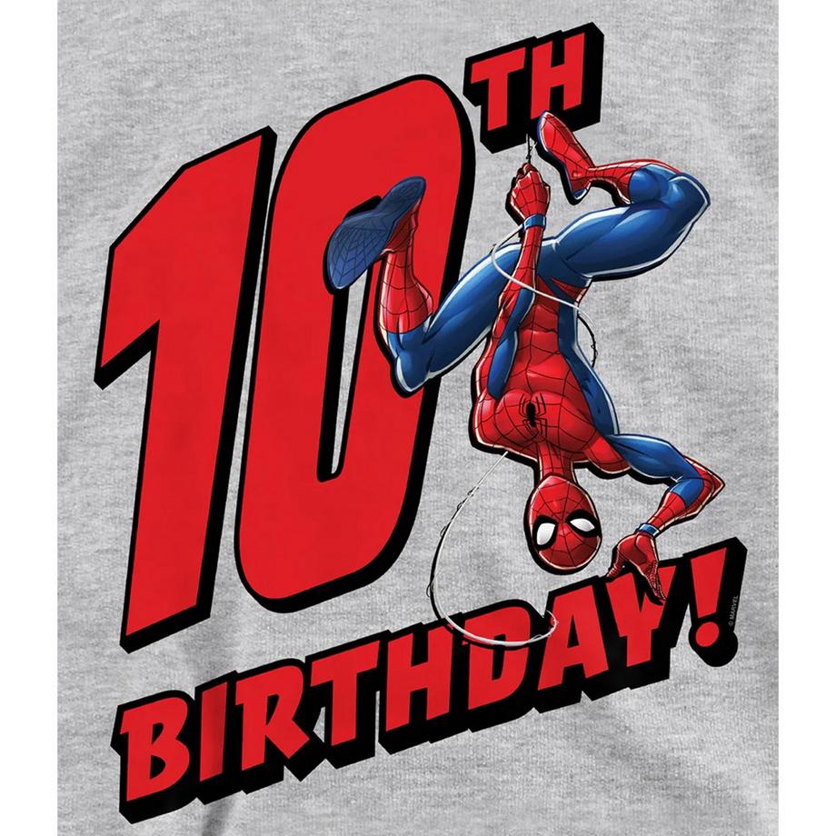 Spider-Man  Sweat À Capuche 10ème Anniversaire 