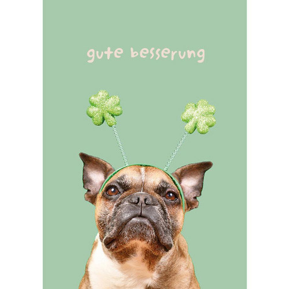 Geschenkidee  Grusskarte Hund Gute Besserung 