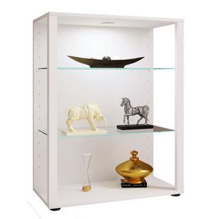 VCM Bois verre vitrine de collection vitrine de verre vitrine stand vitrine Glasol L  