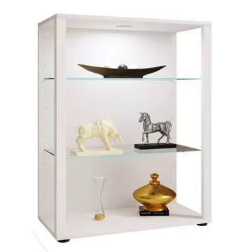 Holz Glas Vitrine Sammelvitrine Glasvitrine Schaukasten Standvitrine Glasol L