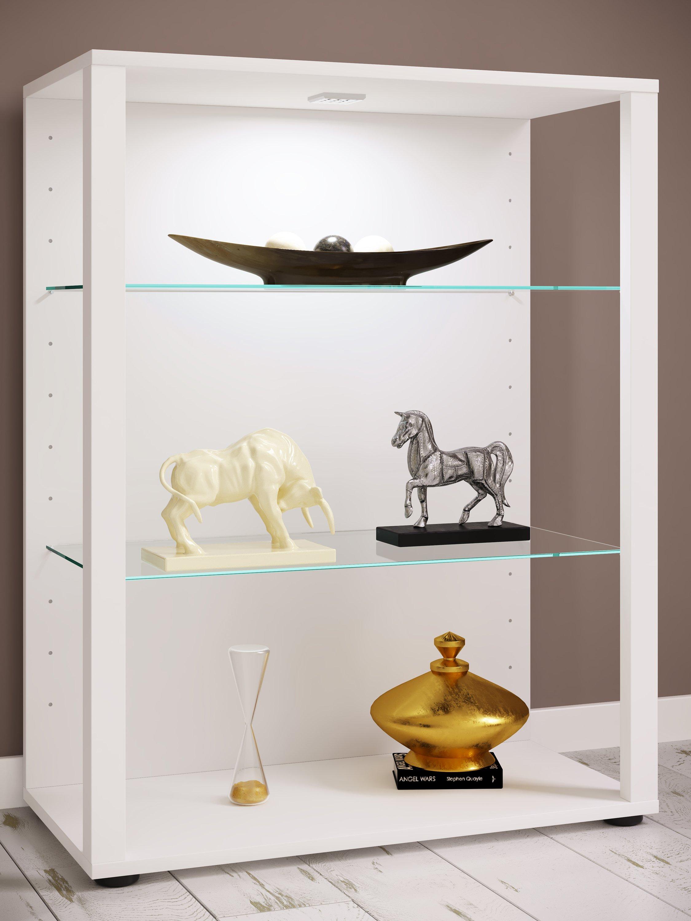 VCM Bois verre vitrine de collection vitrine de verre vitrine stand vitrine Glasol L  