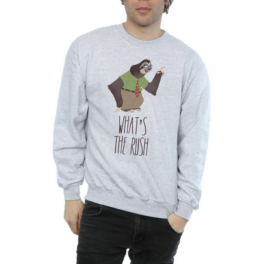 Disney Zootropolis What's The Rush Sweatshirt  