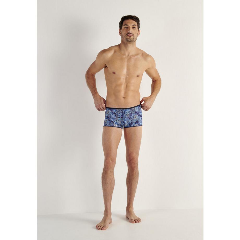 HOM Plumes Trunk  