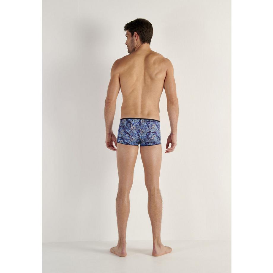 HOM Plumes Trunk  
