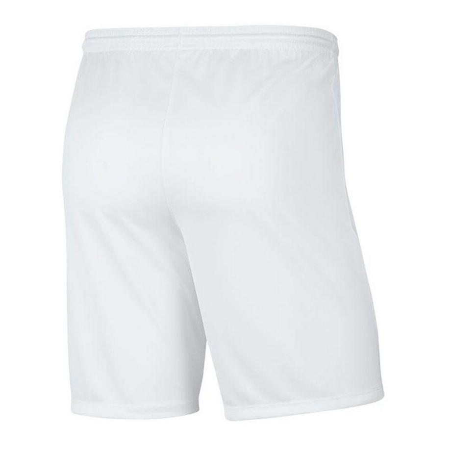 NIKE  Short Dry Park 