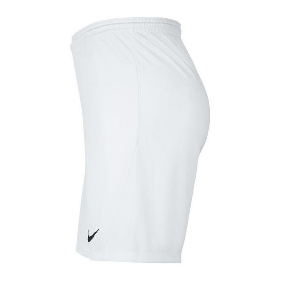NIKE  Short Dry Park 