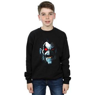 DC COMICS  Sweatshirt 