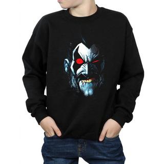 DC COMICS  Sweatshirt 