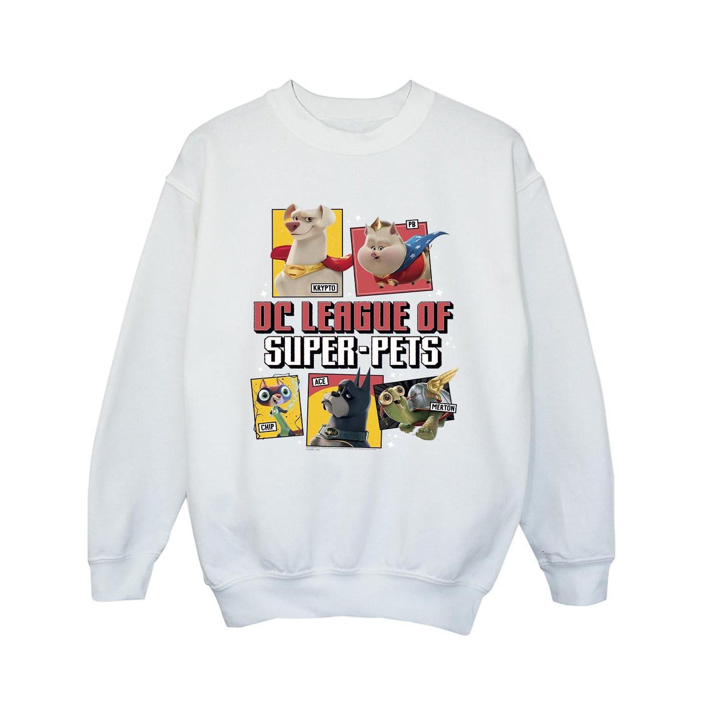 DC COMICS  DC League Of SuperPets Sweatshirt 