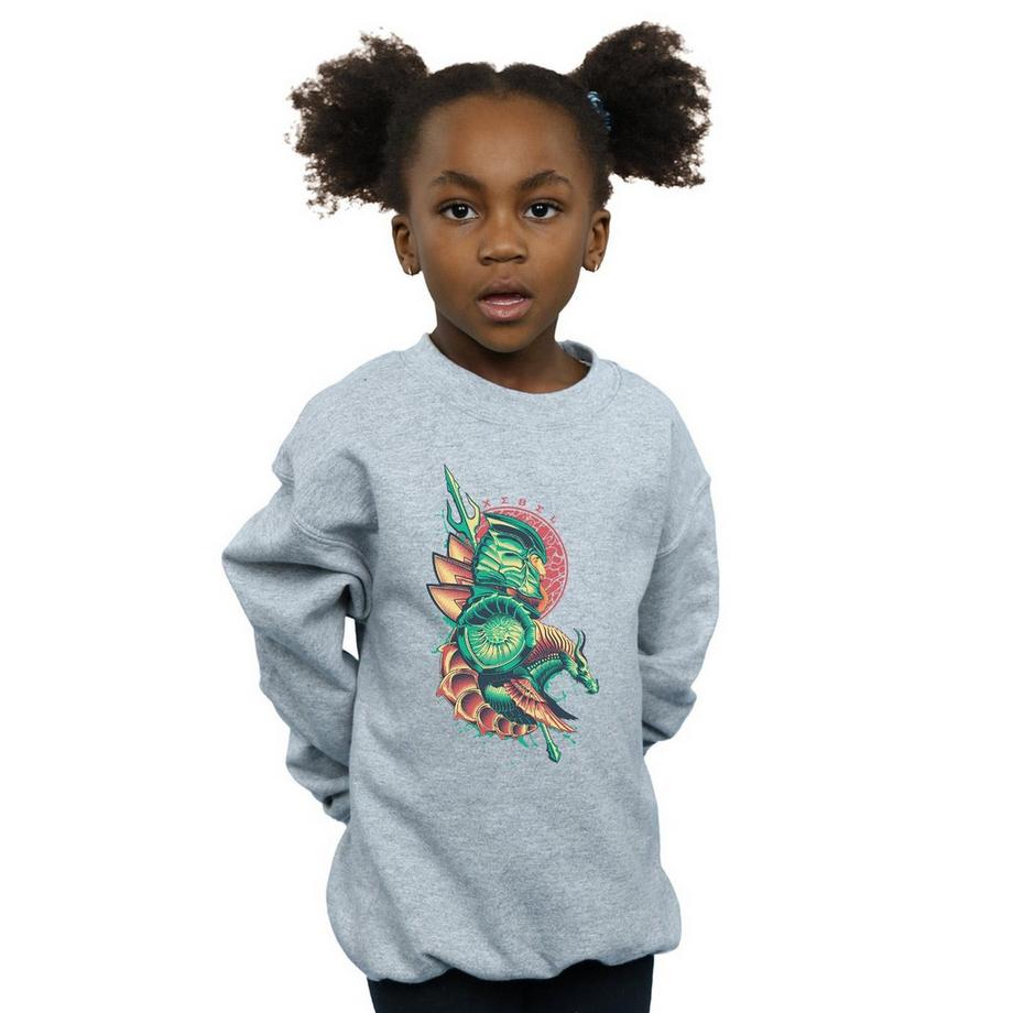 DC COMICS  Xebel Sweatshirt 