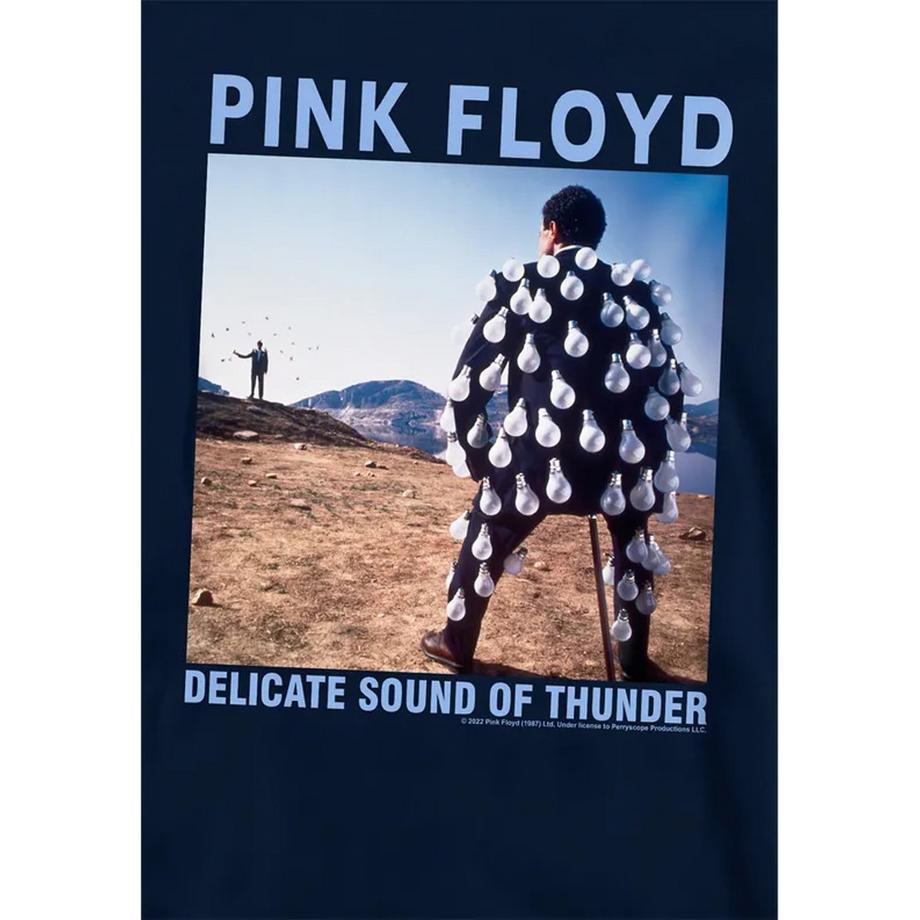 Pink Floyd  Sweat À Capuche Delicate Sound Of Thunder 