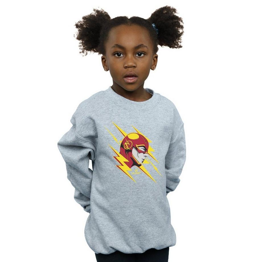 DC COMICS  Sweatshirt 