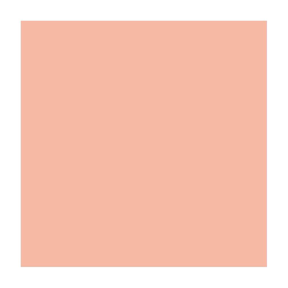 Talens Talens Ecola Guazzo 500 ml 1 pz  