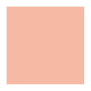 Talens TALENS Plakatfarbe 500ml 0972-3740 rose beige  