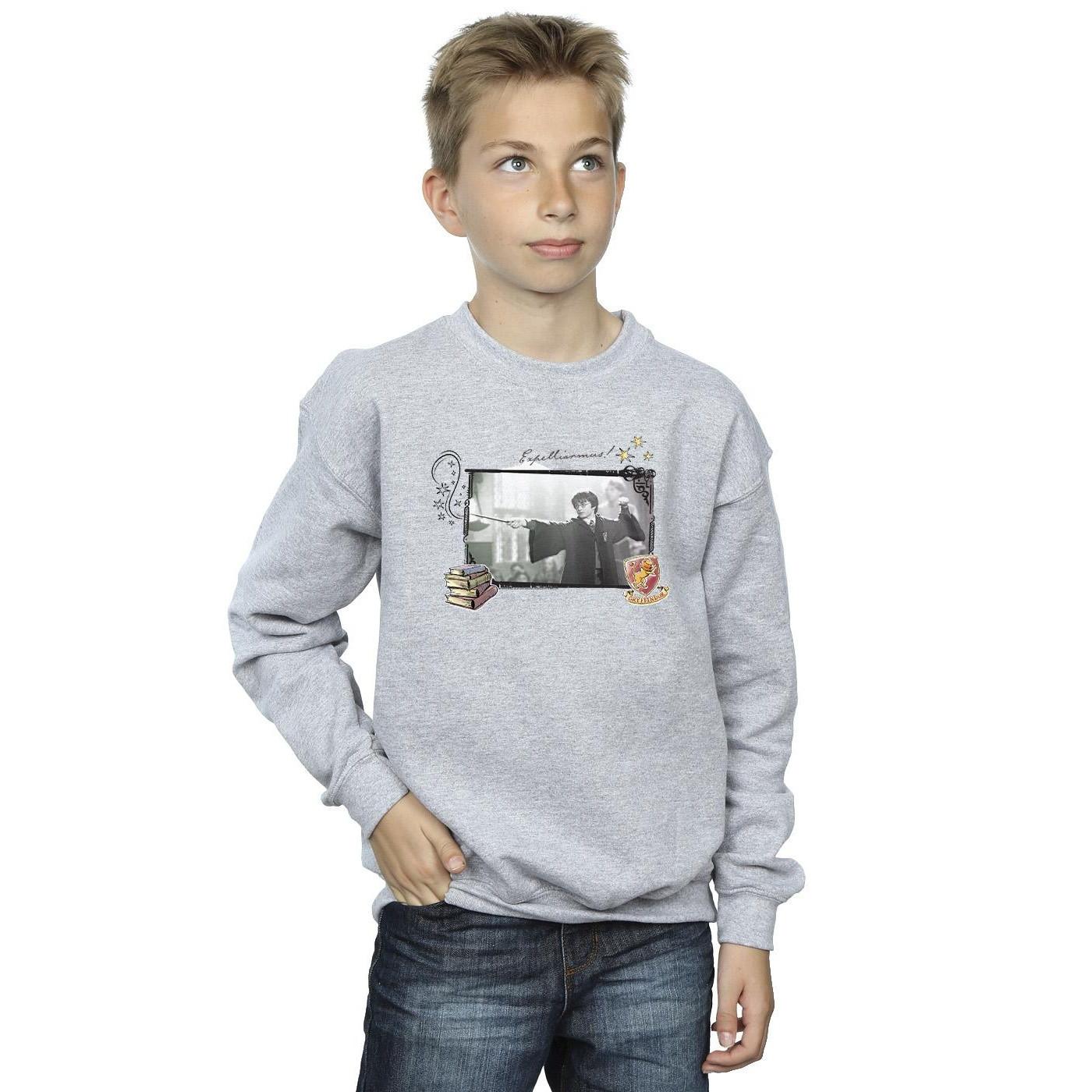Harry Potter  Expelliarmus Sweatshirt 