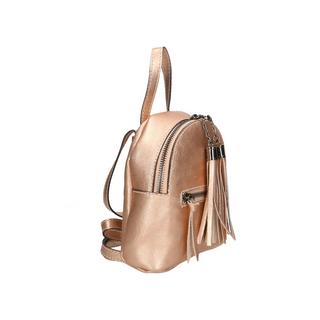 Gave Lux Rucksack  