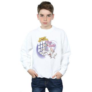 Animaniacs  Take Over The World Sweatshirt 