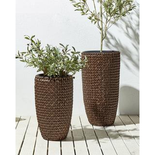 Beliani Lot de 2 pots de fleurs en Polyrotin Rustique CEDRUS  