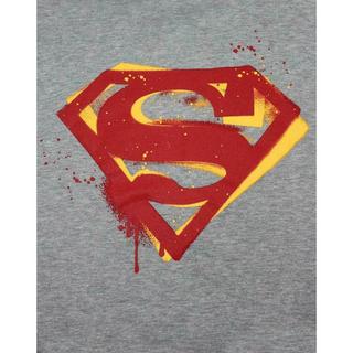 SUPERMAN Logo Print Felpa  