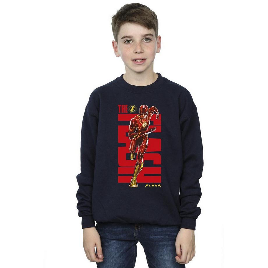 DC COMICS  Sweatshirt 