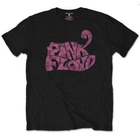 Pink Floyd Pink Floyd Logo Print T-Shirt  