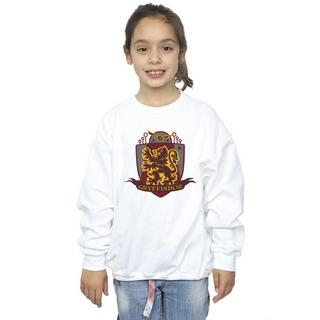 Harry Potter  Gryffindor Sweatshirt 