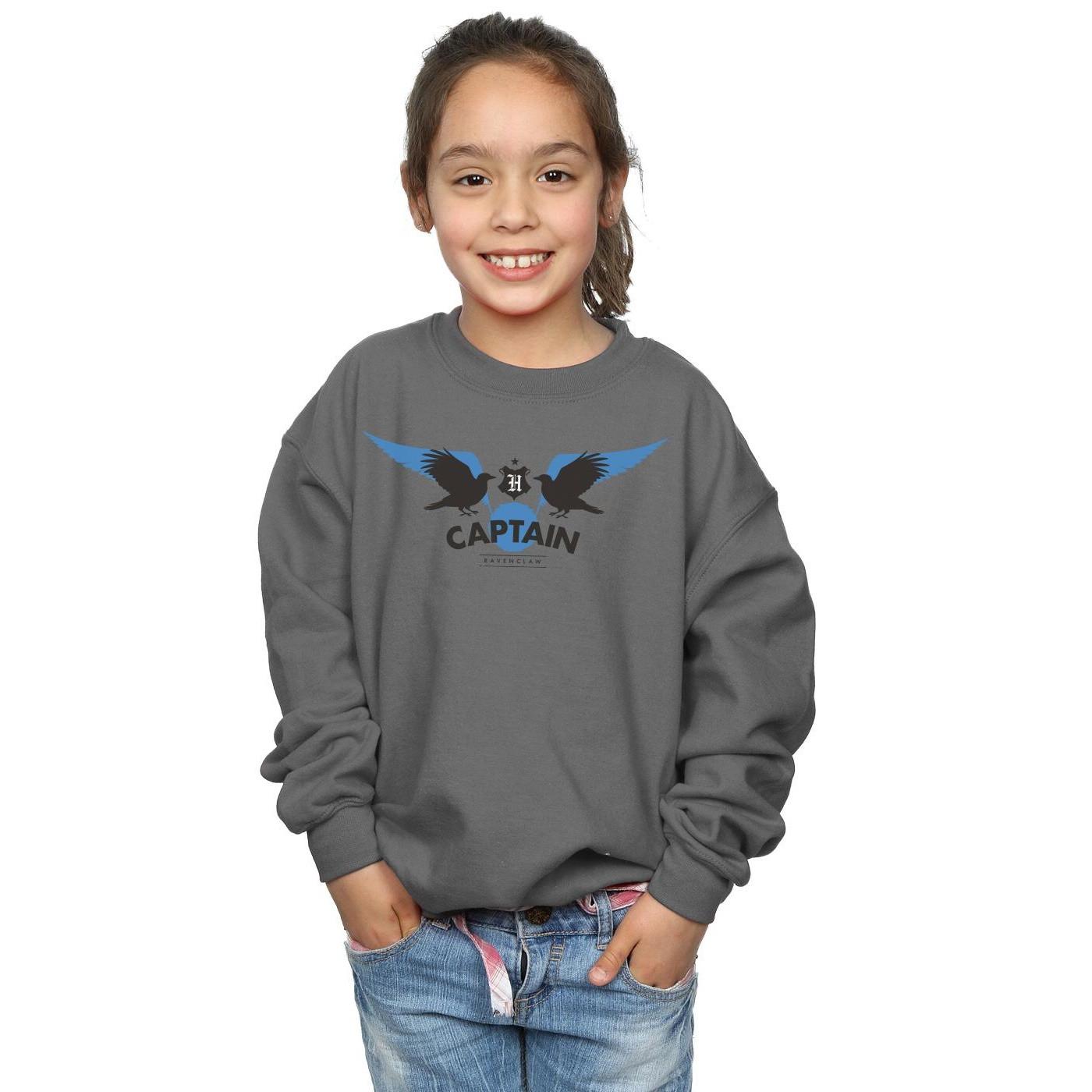 Harry Potter  Ravenclaw Sweatshirt 