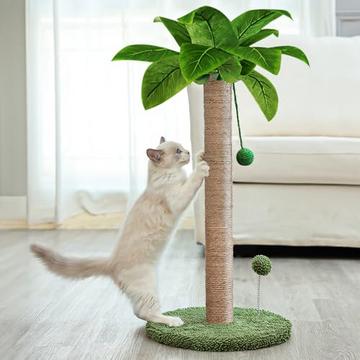 Arbre à chat pour chat