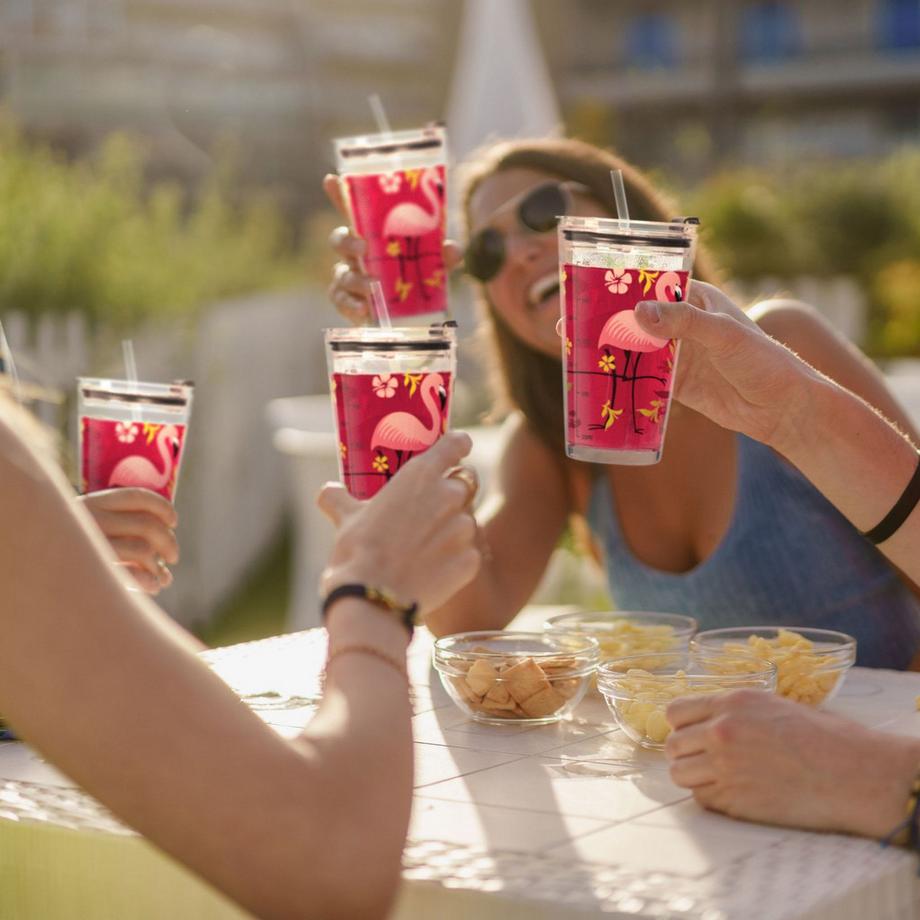 B2X  4er-Set Trinkgläser mit Flamingo-Motiv 